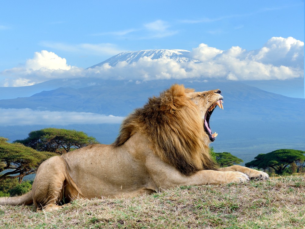 Amboseli 5