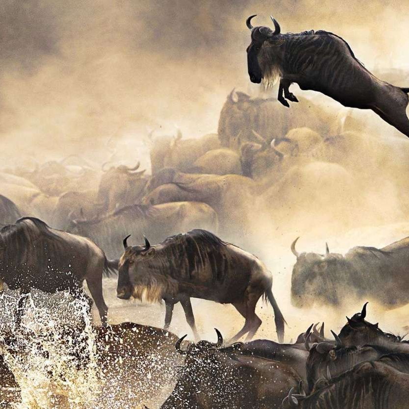 3 Days Masai Mara Express Escape