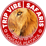 New tyre logo lion 5%