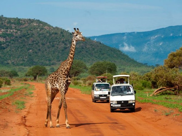 Tsavo 10