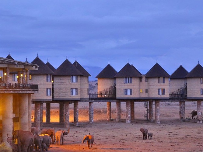 Tsavo 4