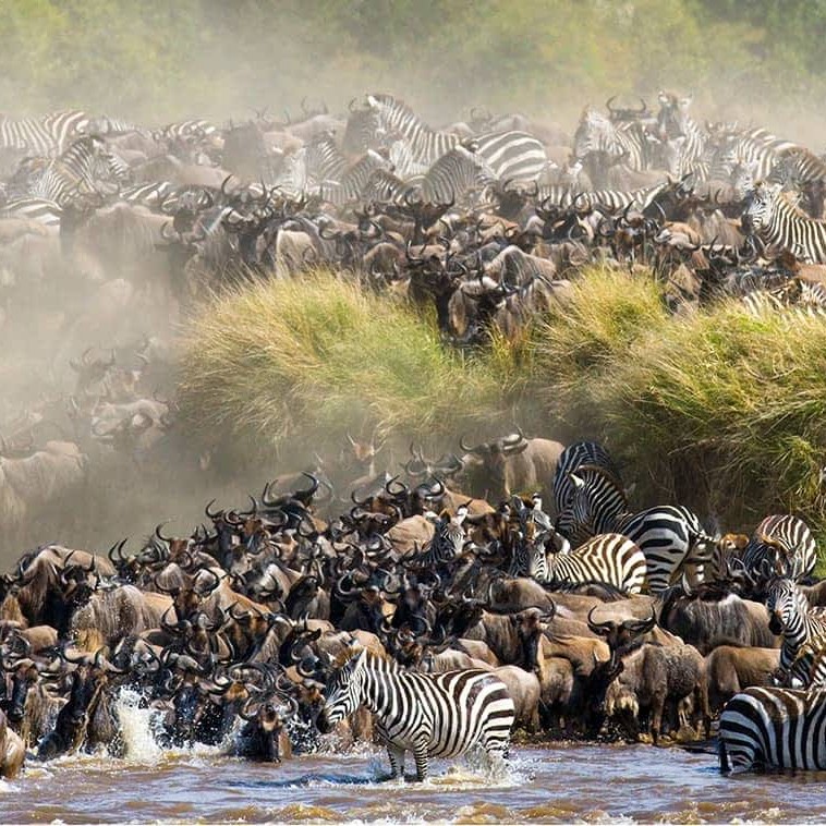 7 Days Rift Valley & Masai Mara Grand Wildlife Safari
