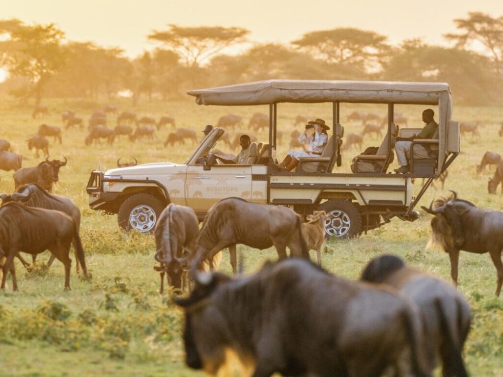 masai mara 1