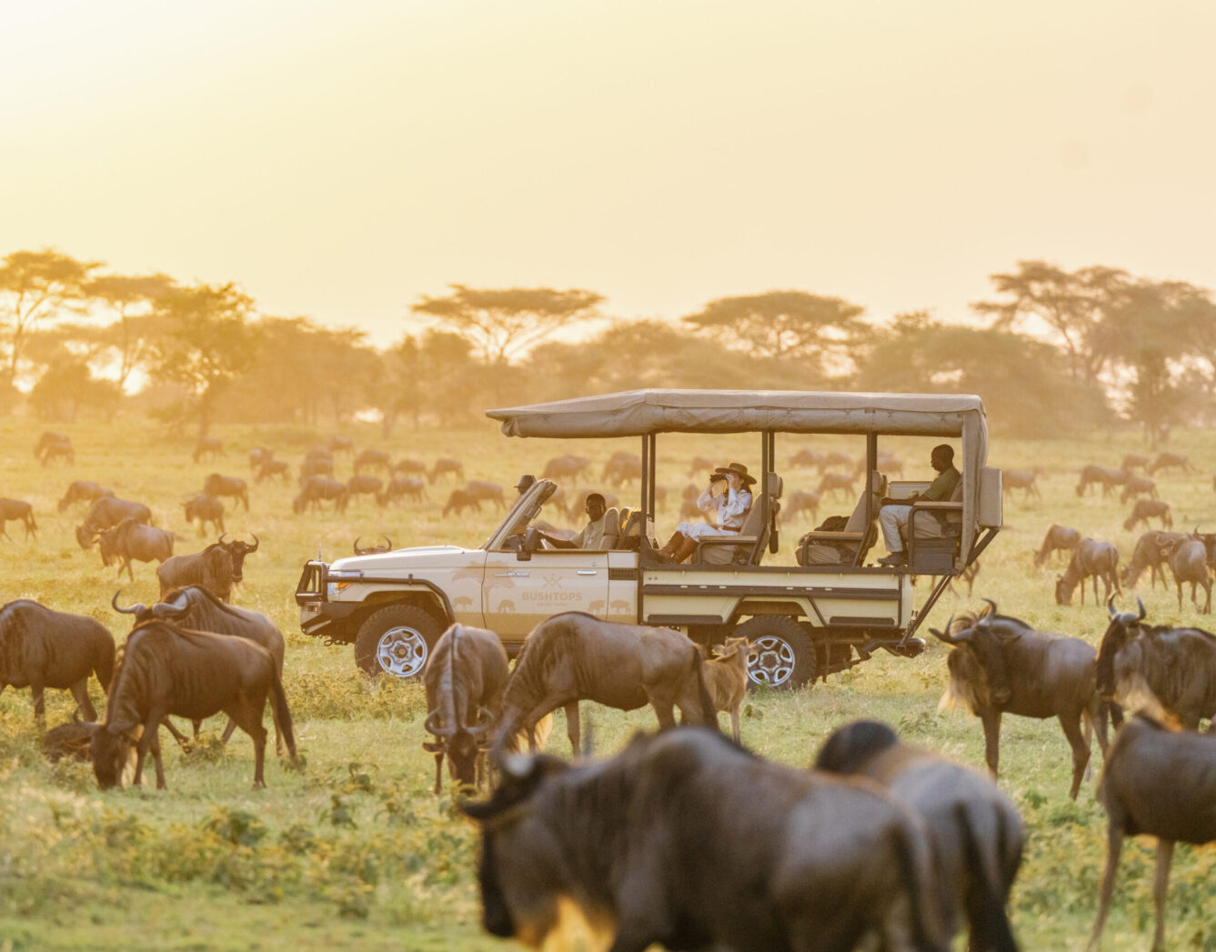 masai mara 1